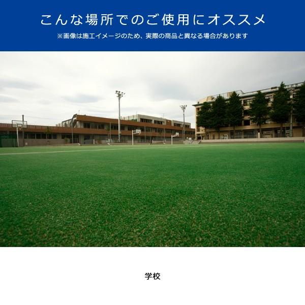 人工芝 ロール 幅1.8m 防炎 幅1.8m エクササイズ パターコース 福祉施設 幼稚園 学校 クッション性 カール糸 人工芝生 芝生 リアル メーカー 東レ 【納期A】【lic-tor-004】