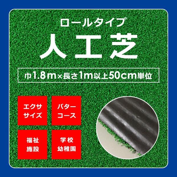 東レ 人工芝 【AM】 幅1.8m×長さ1m以上50cm単位