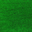 人工芝 サンプル 見本 東レ TORAY スパックターフ ロール人工芝 庭 diy 法人 業務用 人口芝生 タイル マット リアル 人工 芝 屋上 芝生 確認用 サンプル 色見本 【納期A】【lic-tor-sample】