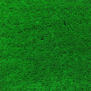 人工芝 ロール 幅1.8m ソフト 柔らかい 手触り 防炎 エクササイズ 商業施設 公園 幼稚園 人工芝生 芝生 リアル メーカー 東レ 【納期A】【lic-tor-005】