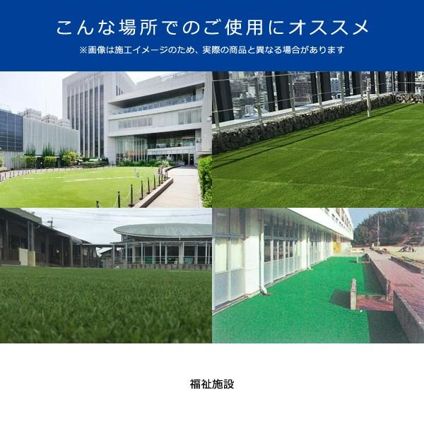 人工芝 ロール 芝生 幅1.8m 防炎 制電性 ベランダ 学校施設 商業施設 イベント会場 祉施設 DIY 施工 リアル おしゃれ おすすめ メーカー 東レ 【納期A】【lic-tor-006】