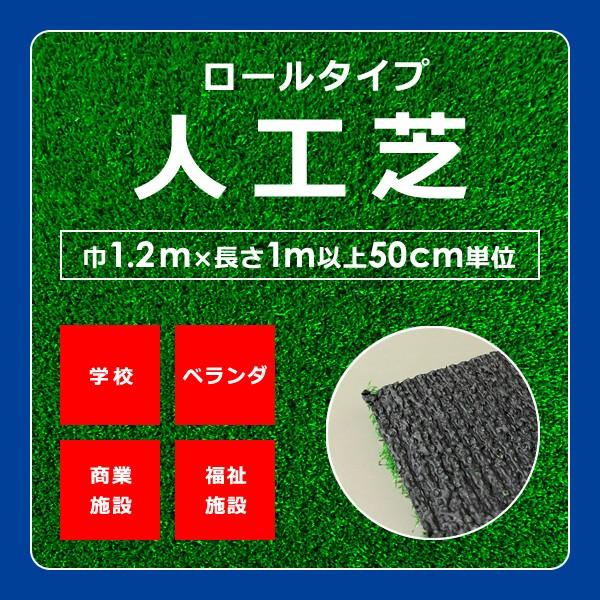 東レ 人工芝 【NK】 幅1.2m×長さ1m以上50cm単位