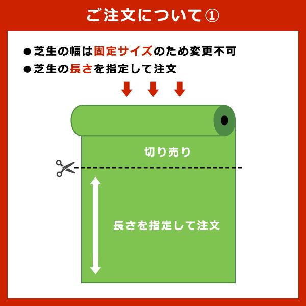 東レ 人工芝 【AS】 幅1.2m×長さ1m以上50cm単位