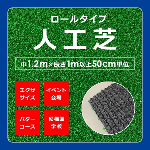 東レ 人工芝 【AS】 幅1.2m×長さ1m以上50cm単位