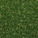 人工芝 サンプル 見本 東レ TORAY スパックターフ ロール人工芝 庭 diy 法人 業務用 人口芝生 タイル マット リアル 人工 芝 屋上 芝生 確認用 サンプル 色見本 【納期A】【lic-tor-sample】