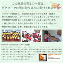 マット 45×75cm 北欧 おしゃれ ラグマット ラグ 玄関マット ウール インド綿 手作り 高級感 民族文様 柄 幾何学模様 敷物 ギャッベ ハンドノット 手織り 【納期B】【lic-tsz-0080】