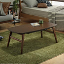 コタツテーブル 単品 こたつ 100×50cm 長方形 フラットヒーター 薄型 スリム 北欧 センターテーブル リビングテーブル ローテーブル おしゃれ こたつ布団別売り 【納期A】【mst-g0100256】