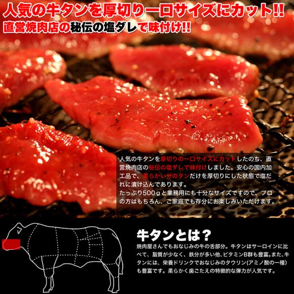 牛タン 厚切り 牛肉 バーベキュー 塩ダレ 焼き肉 ホルモン 500g