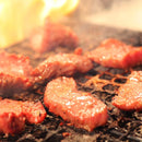 牛タン 厚切り 牛肉 バーベキュー 焼肉 塩ダレ タレ付き 味つき 一口サイズ 肉汁 焼き肉 BBQ こりこり 美味しい 牛 舌 ホルモン 500g 【納期E】【nk00000003】