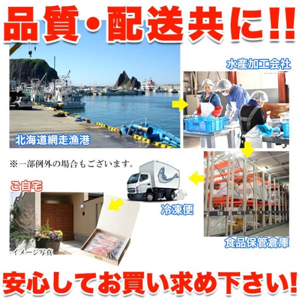 鮭 切り身 サケの切り身 焼き鮭 冷凍 国産 北海道産 熟成 天然鮭 シャケ 個包装 真空パック のし 熨斗 ギフト 贈り物 お中元 御歳暮 お祝い 【納期E】【nk00000022】