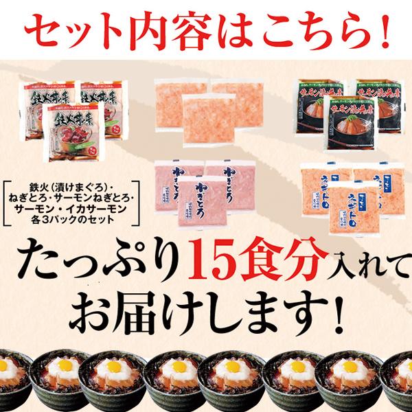 海鮮丼セット 素 具 冷凍 たれ 鉄火丼 マグロ ネギトロ サーモン