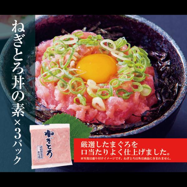 海鮮丼セット 素 具 冷凍 たれ 鉄火丼 マグロ ネギトロ サーモン