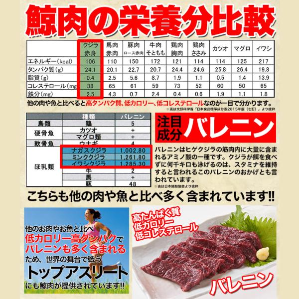 クジラ肉 ブロック 鯨肉 刺身 さしみ ミンク サク肉 nk00000077