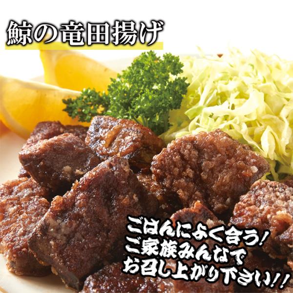 クジラ肉 ブロック 鯨肉 刺身 さしみ ミンク サク肉 nk00000077