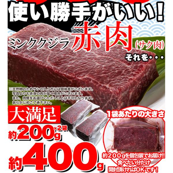 クジラ肉 ブロック 鯨肉 刺身 さしみ ミンク サク肉 nk00000077