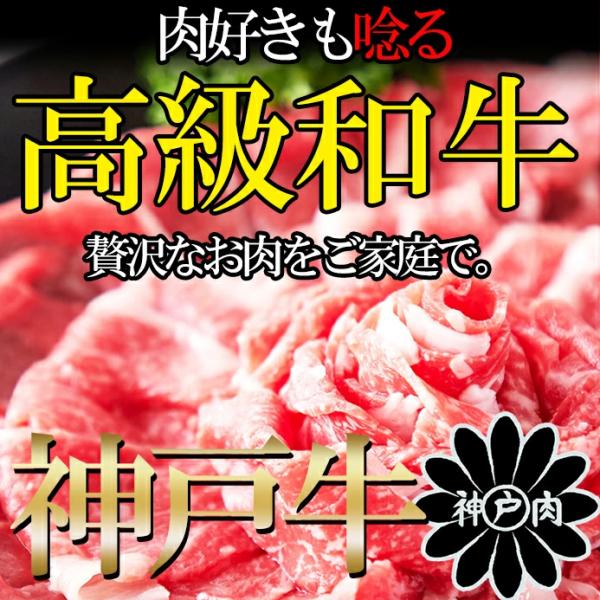 神戸牛 切り落とし 500g 牛肉 訳あり 無選別 部位 バラ 肩 モモ 霜降り A4等級以上 A4ランク ブランド牛 和牛 国産 冷凍 焼肉 しゃぶしゃぶ 【納期E】【nk00000068】