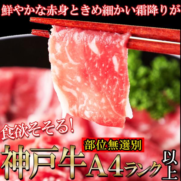 神戸牛 切り落とし 500g 訳あり バラ 肩 モモ 霜降り A4 和牛肉