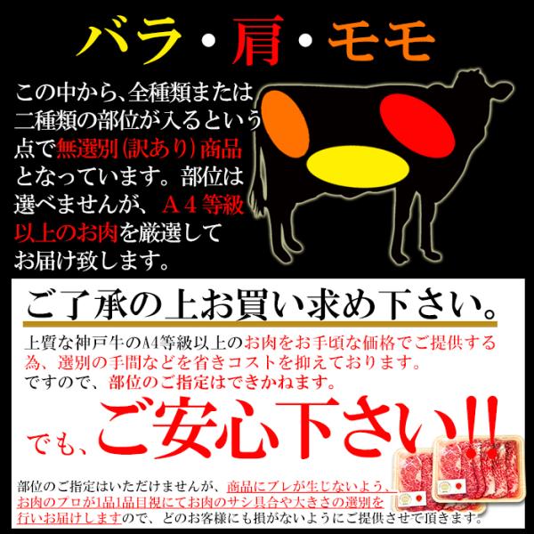 神戸牛 切り落とし 500g 訳あり バラ 肩 モモ 霜降り A4 和牛肉