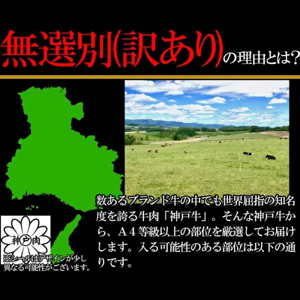 神戸牛 切り落とし 500g 牛肉 訳あり 無選別 部位 バラ 肩 モモ 霜降り A4等級以上 A4ランク ブランド牛 和牛 国産 冷凍 焼肉 しゃぶしゃぶ 【納期E】【nk00000068】