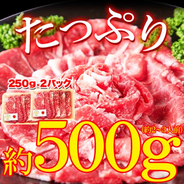 神戸牛 切り落とし 500g 訳あり バラ 肩 モモ 霜降り A4 和牛肉