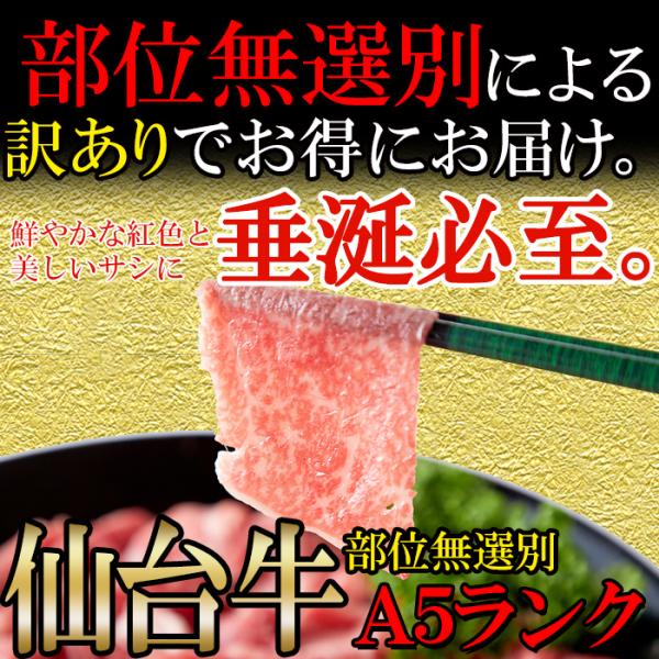 仙台牛 切り落とし 500g A5 和牛 国産 訳あり バラ 肩 モモ 霜降