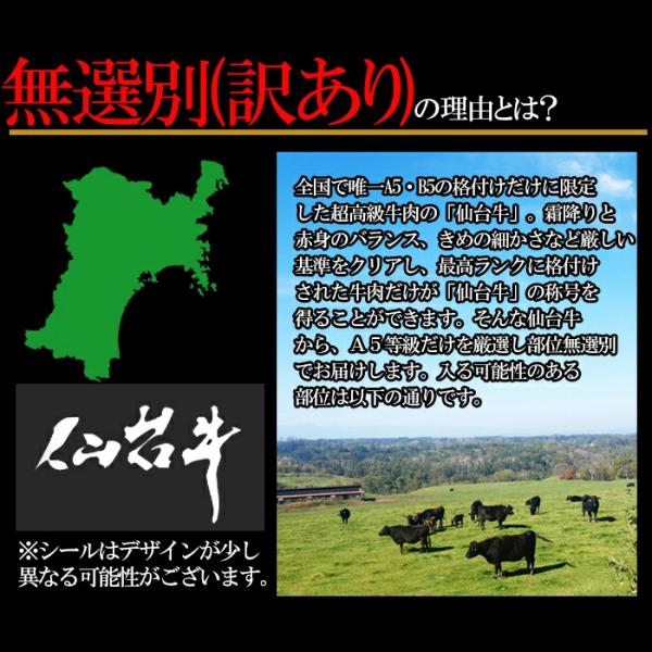 仙台牛 切り落とし 500g A5 和牛 国産 訳あり バラ 肩 モモ 霜降