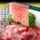 仙台牛 切り落とし 500g 牛肉 A5 等級 ランク 和牛 国産 冷凍 訳あり 無選別 部位 バラ肉 肩 モモ 霜降り 赤身 焼肉 すき焼き ブランド牛 【納期E】【nk00000069】