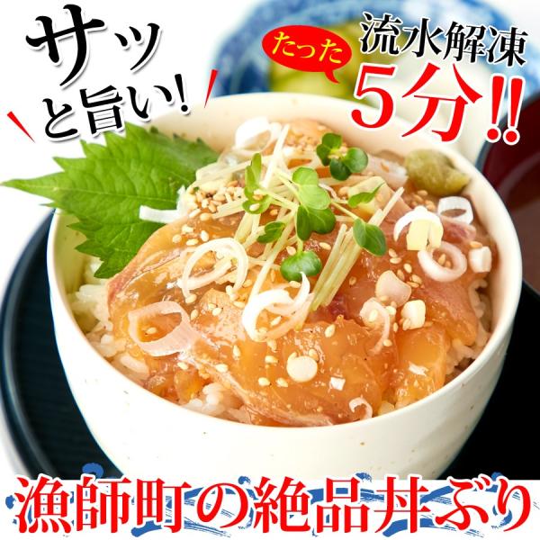 海鮮丼 醤油漬け丼 鯛 タイ 真鯛 鯛漬け ブリ 鰤漬け 丼ぶり タレ 国産 無添加 国内加工 添加物不使用 お茶漬け 酒の肴 ユッケ風 アレンジ 【納期E】【nk00000070】