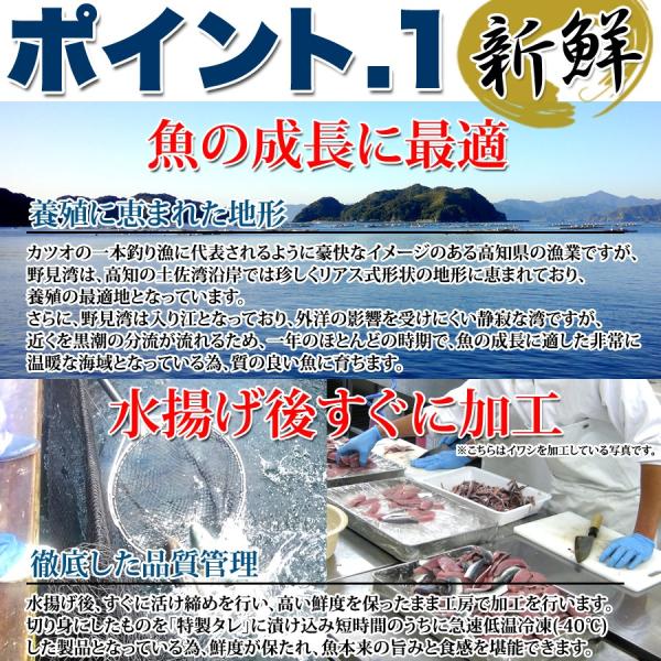 海鮮丼 醤油漬け丼 鯛 タイ 真鯛 鯛漬け ブリ 鰤漬け 丼ぶり タレ 国産 無添加 国内加工 添加物不使用 お茶漬け 酒の肴 ユッケ風 アレンジ 【納期E】【nk00000070】