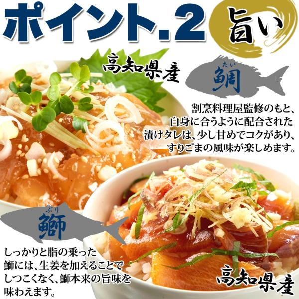 海鮮丼 醤油漬け丼 タイ 真鯛 ブリ 鰤漬け 丼ぶり 国産 無添加