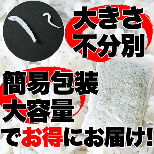 釜揚げしらす 500g 無添加 業務用 漂白剤 保存料 添加物不使用