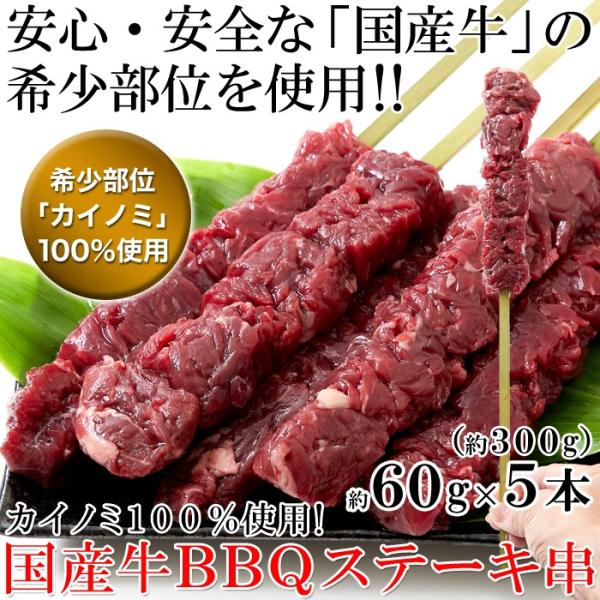 カイノミ 牛串 かいのみ 牛串焼き ステーキ串 国産牛 希少部位 赤身 フィレ 牛肉 国産 北海道 バーベキュー 焼き肉 高品質 冷凍 バラ肉 【納期E】【nk00000079】