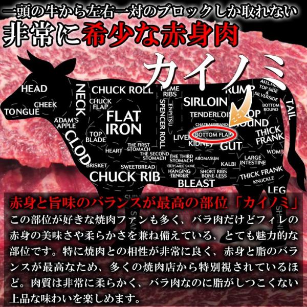 カイノミ 牛串 かいのみ 牛串焼き ステーキ串 国産牛 希少部位 赤身 フィレ 牛肉 国産 北海道 バーベキュー 焼き肉 高品質 冷凍 バラ肉 【納期E】【nk00000079】