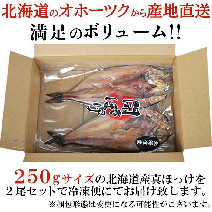 ほっけ 北海道 真ほっけ 一夜干し ホッケ 開き 干物 乾物 ひもの 魚 冷凍 おかず 肴 ギフト 熨斗 のし お中元 御歳暮 贈り物 御礼 お祝い 【納期E】【nk00000091】