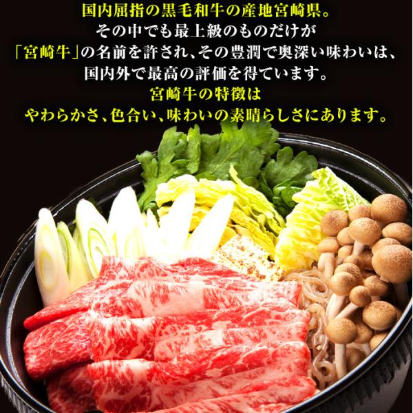 黒毛和牛 カルビ 500g 宮崎牛 A4 スライス 冷凍 霜ふり 焼き肉