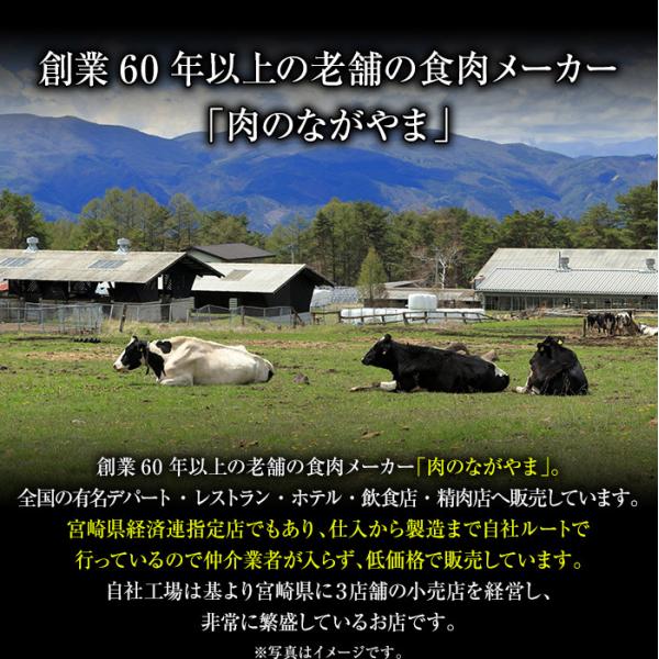 黒毛和牛 カルビ 500g 宮崎牛 A4 スライス 冷凍 霜ふり 焼き肉