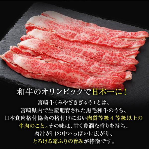 黒毛和牛 カルビ 500g 宮崎牛 A4 スライス 冷凍 霜ふり 焼き肉