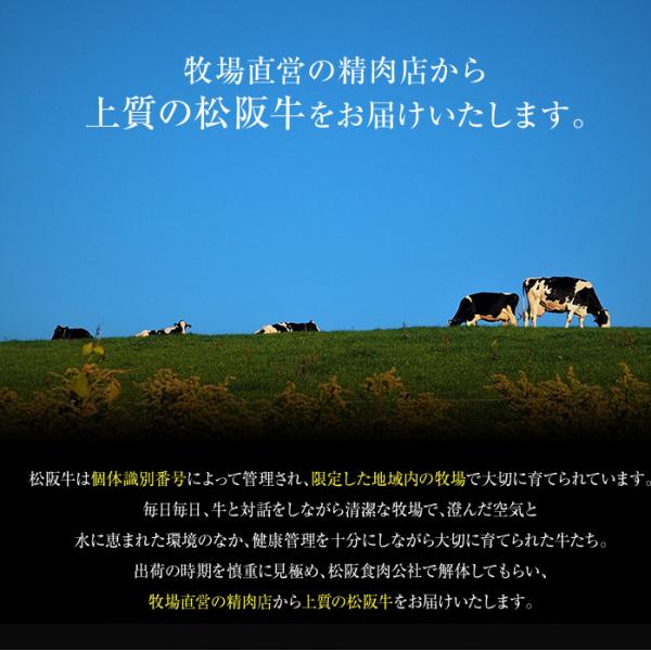 松阪牛 すき焼用 しゃぶしゃぶ用 ウデ モモ 肩ロース 国産 三重県産 銘柄牛 牛肉 A4ランク A4等級以上 しゃぶすき 200g 霜降り 脂身 冷凍 【納期E】【nk00000109】