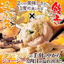 手羽餃子 手羽先 餃子餡 ギョーザ ギョウザ 冷凍 若鶏 手羽ポケット 点心 鶏肉 フライパン焼き 揚げ物 電子レンジ 美味しい おつまみ 中華 【納期E】【nk00000111】