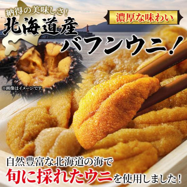 バフンウニ 北海道 冷凍 ミョウバン不使用 濃厚 生うに 雲丹 美味しい 国産 高級 馬糞ウニ 馬ふん ギフト 熨斗 お中元 御歳暮 贈り物 祝い 【納期E】【nk00000117】