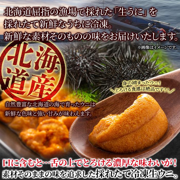 ウニ 北海道 雲丹 生うに 国産 冷凍 ミョウバン不使用 濃厚 美味しい 刺身 70g 高級 新鮮 ギフト 熨斗 のし お中元 御歳暮 贈り物 お祝い 【納期E】【nk00000117】