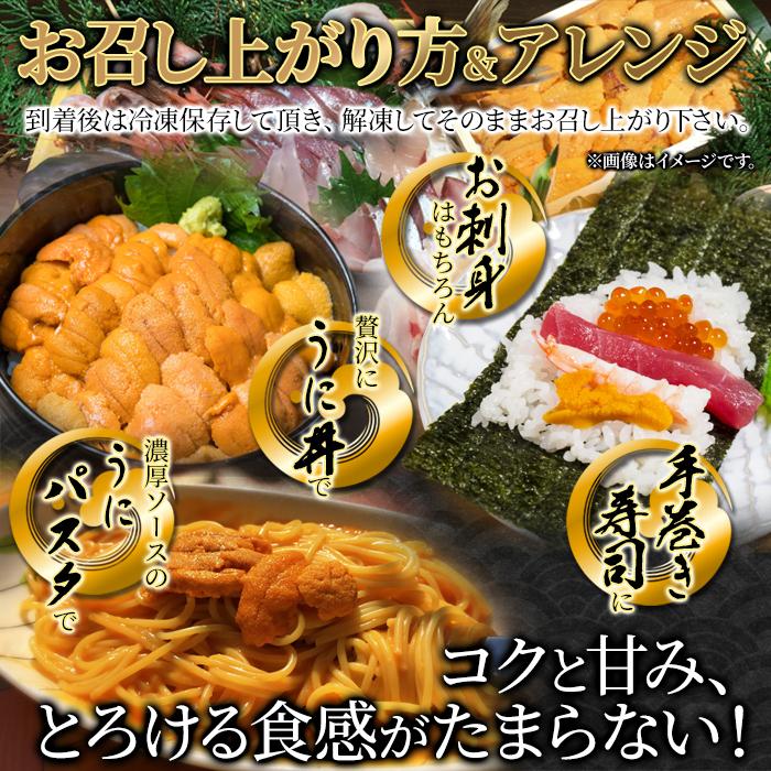ウニ 北海道 雲丹 生うに 国産 冷凍 ミョウバン不使用 濃厚 美味しい 刺身 70g 高級 新鮮 ギフト 熨斗 のし お中元 御歳暮 贈り物 お祝い 【納期E】【nk00000117】