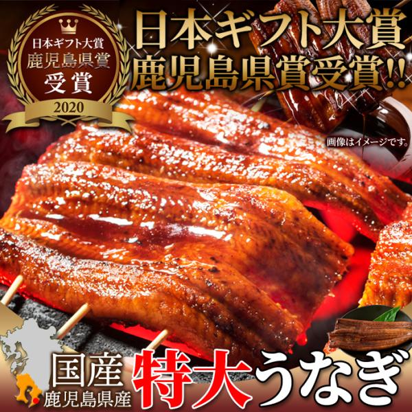 うなぎ 国産 蒲焼き ウナギ 国産 鰻 うなぎの蒲焼き タレ付 特大