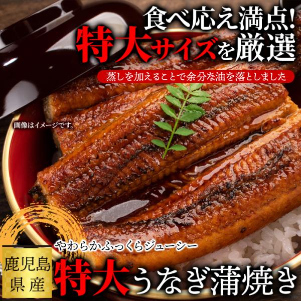 うなぎ 国産 蒲焼き ウナギ 国産 鰻 うなぎの蒲焼き タレ付 特大