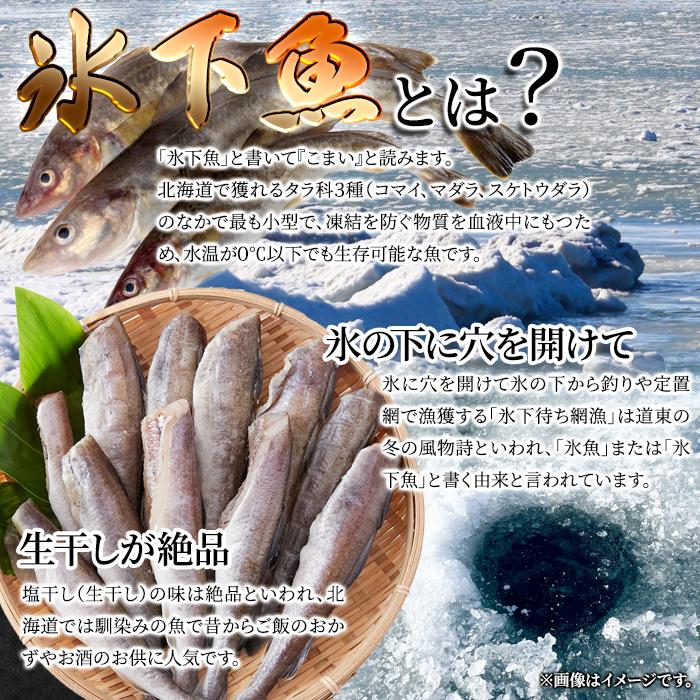 こまい 魚 1kg コマイ 冷凍 氷下魚 白身魚 生干し 塩干し おかず お酒のあて 肴 北海道産 ギフト 熨斗 お中元 御歳暮 贈り物 御礼 お祝い 【納期E】【nk00000121】