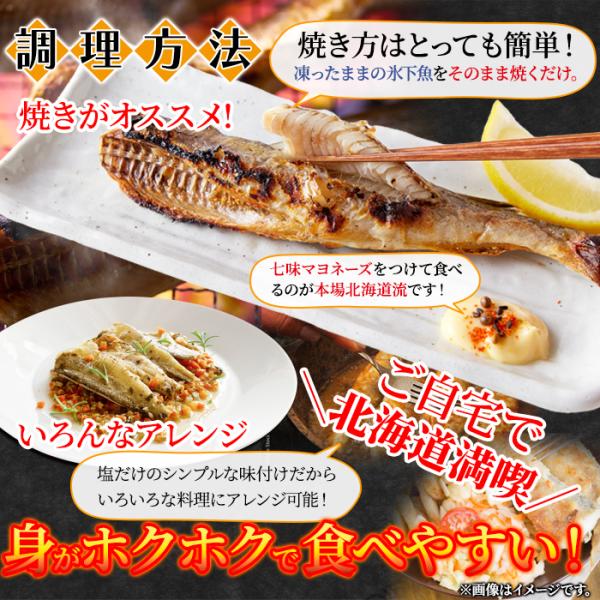 こまい 魚 1kg コマイ 冷凍 氷下魚 白身魚 生干し 塩干し おかず お酒のあて 肴 北海道産 ギフト 熨斗 お中元 御歳暮 贈り物 御礼 お祝い 【納期E】【nk00000121】