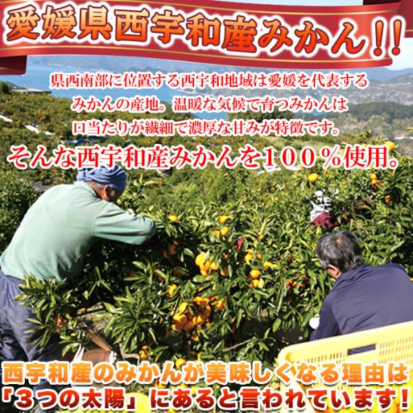 冷凍みかん 1kg 蜜柑 ミカン 冷凍 愛媛 西宇和 3Sサイズ 大容量