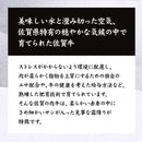 佐賀牛 カルビ バラ肉 スライス A4ランク以上 A4等級 500g 厳選 前バラ 牛肉 黒毛和種 ブランド牛 脂身 焼きしゃぶしゃぶ すき焼き 牛丼 【納期E】【nk00000126】
