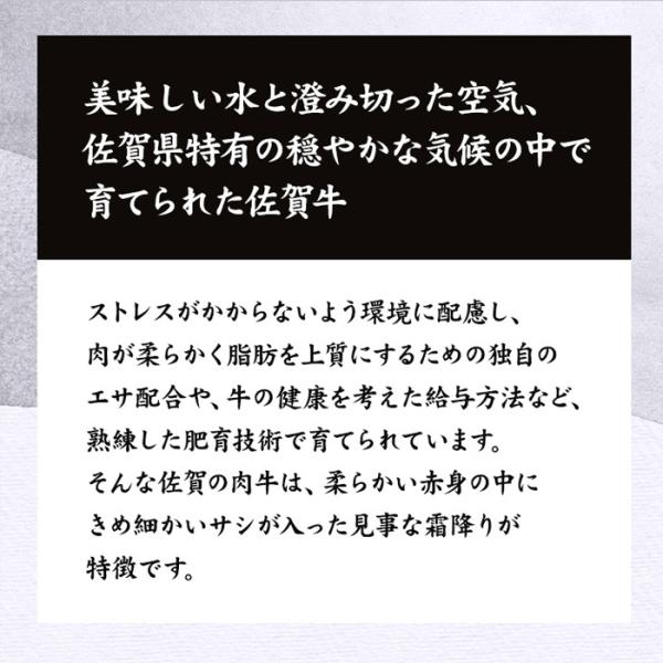 佐賀牛 切り落とし 500g 牛肉 もも バラ肉 肩 A4ランク以上 A4等級 黒毛和種 ブランド牛 お得 脂身 赤身 調理例 牛丼 肉じゃが 炒め物 【納期E】【nk00000127】