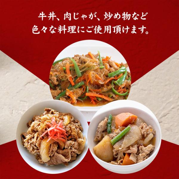 佐賀牛 切り落とし 500g 牛肉 もも バラ肉 肩 A4ランク以上 A4等級 黒毛和種 ブランド牛 お得 脂身 赤身 調理例 牛丼 肉じゃが 炒め物 【納期E】【nk00000127】